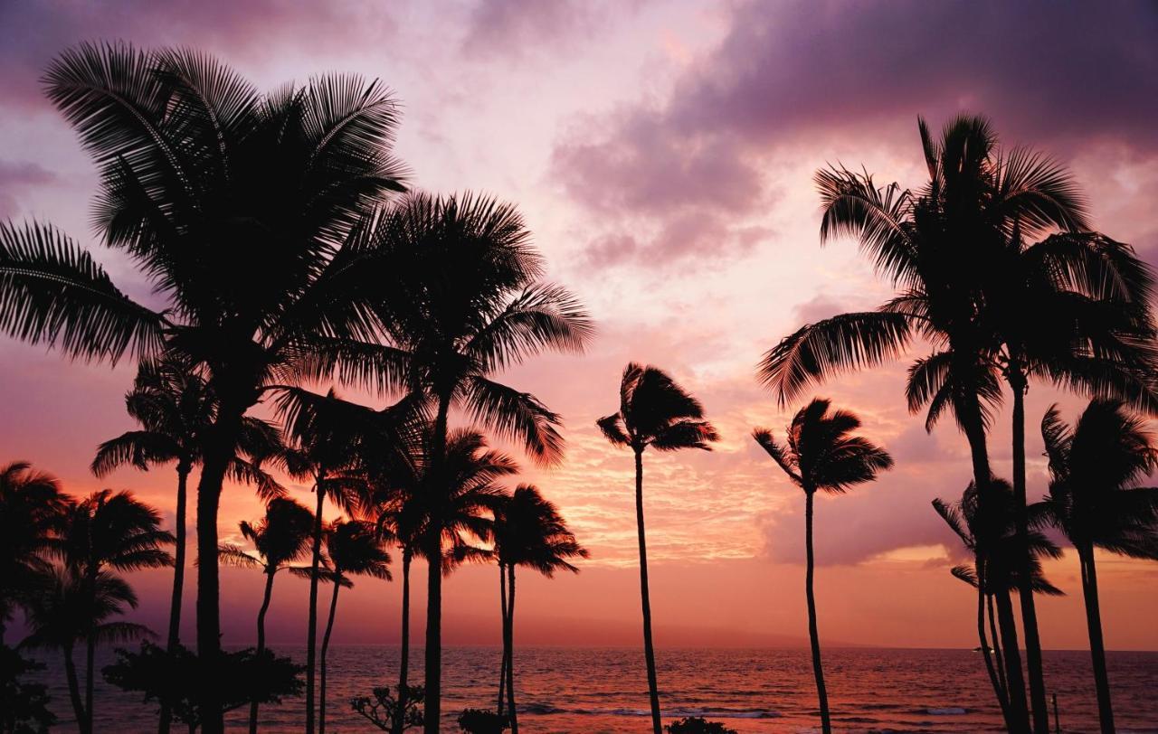 Free Parking, Pool, Sauna, Spa, Wifi, Bbq, Ac - Waikiki Banyan Honolulu Exterior foto